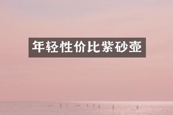 年轻性价比紫砂壶