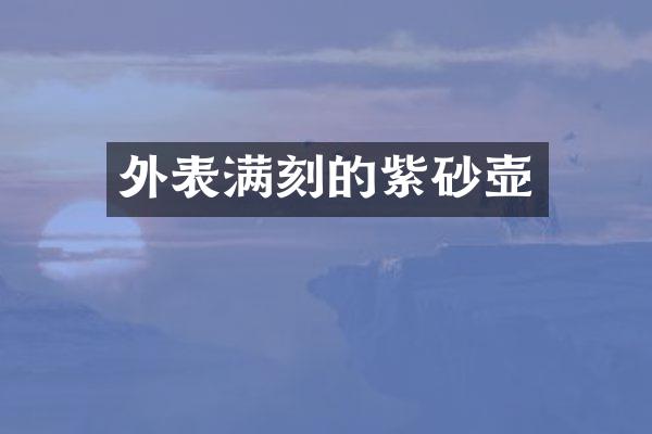 外表满刻的紫砂壶