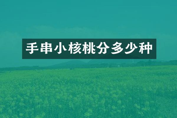 手串小核桃分多少种