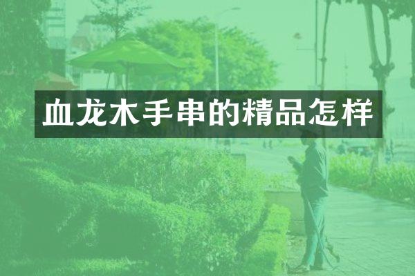 血龙木手串的精品怎样
