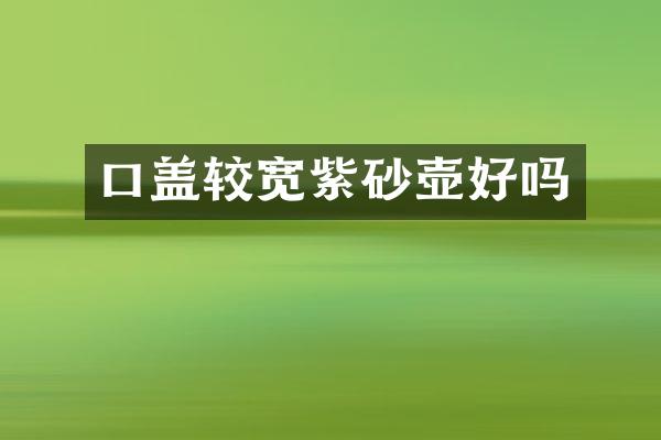 口盖较宽紫砂壶好吗