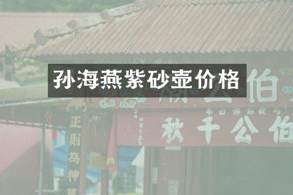 孙海燕紫砂壶价格