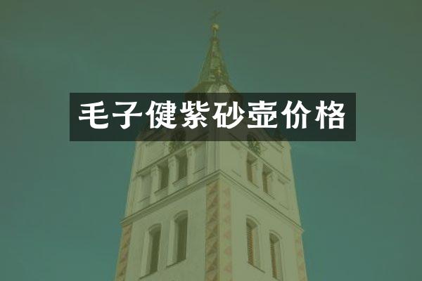 毛子健紫砂壶价格