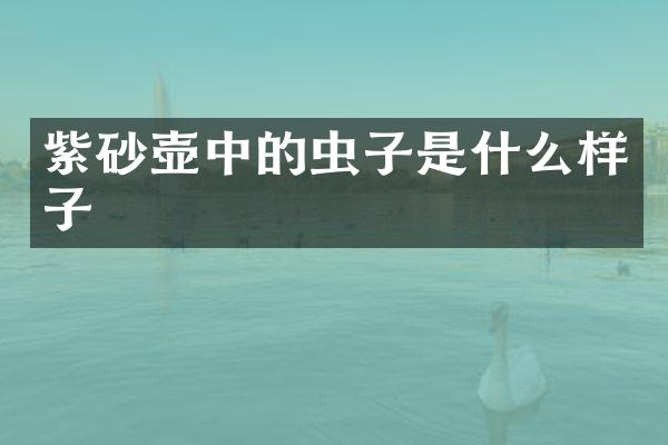 紫砂壶中的虫子是什么样子