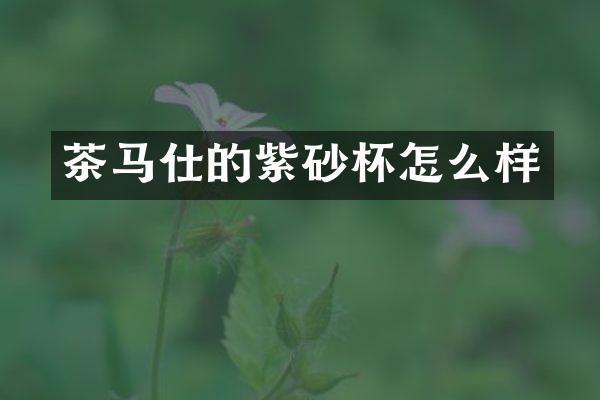 茶马仕的紫砂杯怎么样