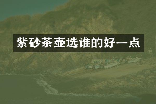 紫砂茶壶选谁的好一点