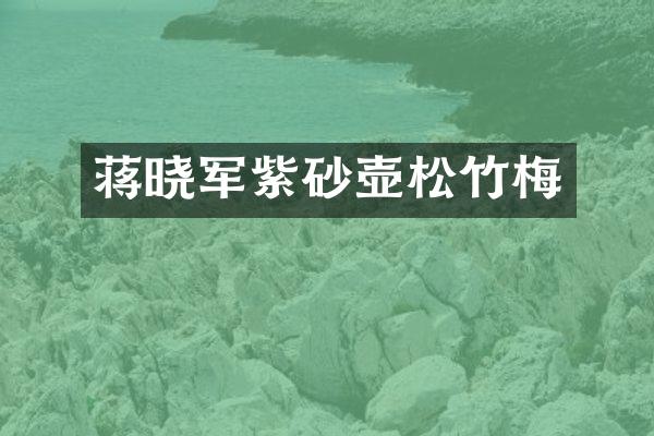 蒋晓军紫砂壶松竹梅