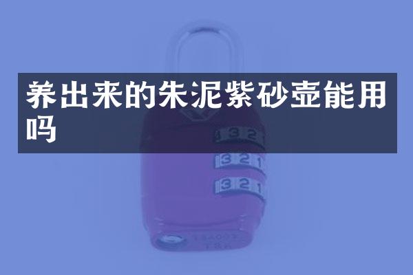 养出来的朱泥紫砂壶能用吗