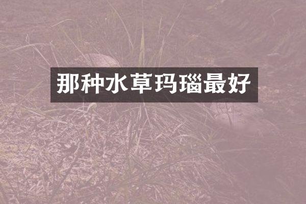那种水草玛瑙最好