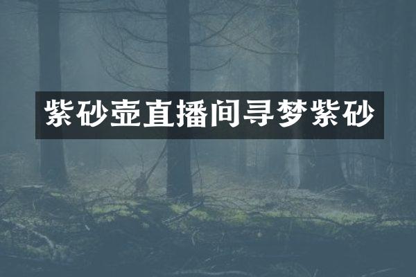 紫砂壶直播间寻梦紫砂