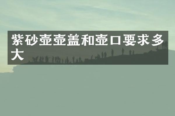 紫砂壶壶盖和壶口要求多大