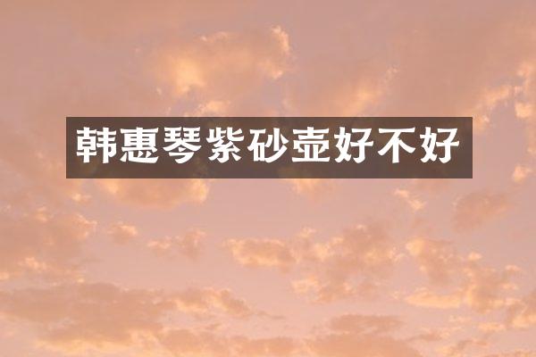 韩惠琴紫砂壶好不好