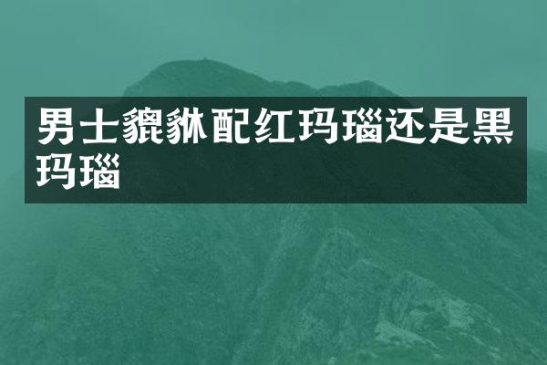 男士貔貅配红玛瑙还是黑玛瑙