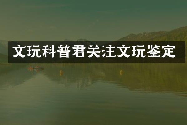 文玩科普君关注文玩鉴定