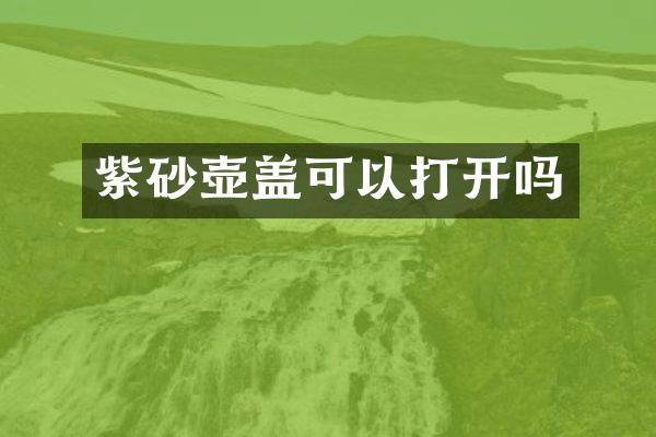 紫砂壶盖可以打开吗