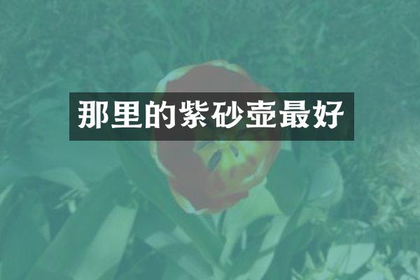 那里的紫砂壶最好