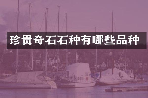 珍贵奇石石种有哪些品种