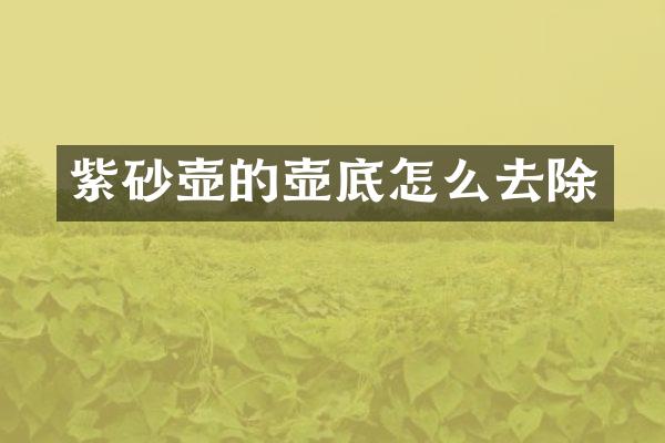 紫砂壶的壶底怎么去除