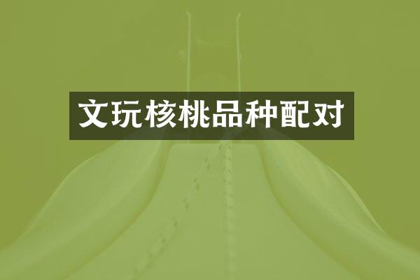 文玩核桃品种配对