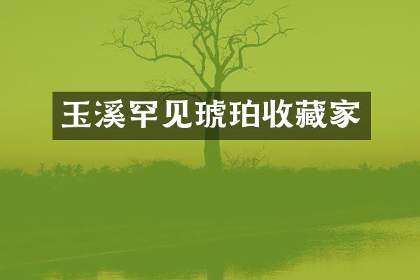 玉溪罕见琥珀收藏家