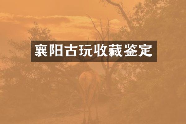 襄阳古玩收藏鉴定