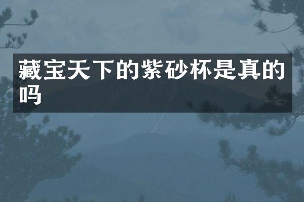 藏宝天下的紫砂杯是真的吗