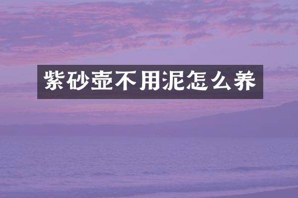 紫砂壶不用泥怎么养