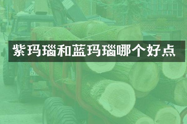 紫玛瑙和蓝玛瑙哪个好点