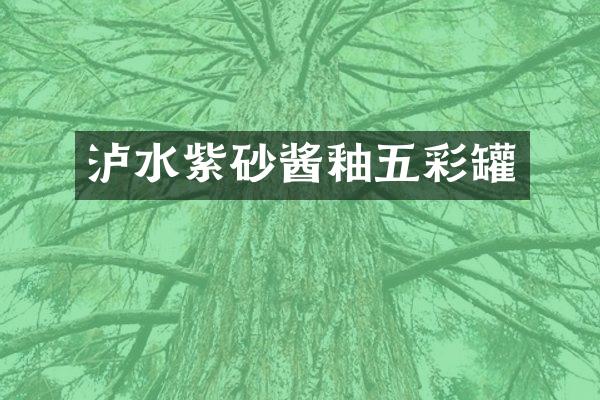 泸水紫砂酱釉五彩罐