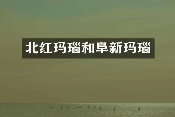 北红玛瑙和阜新玛瑙