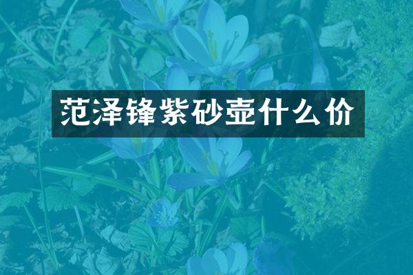 范泽锋紫砂壶什么价