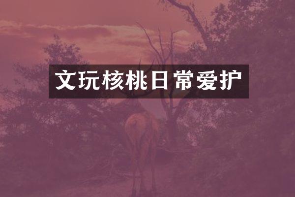 文玩核桃日常爱护