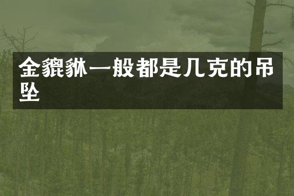 金貔貅一般都是几克的吊坠