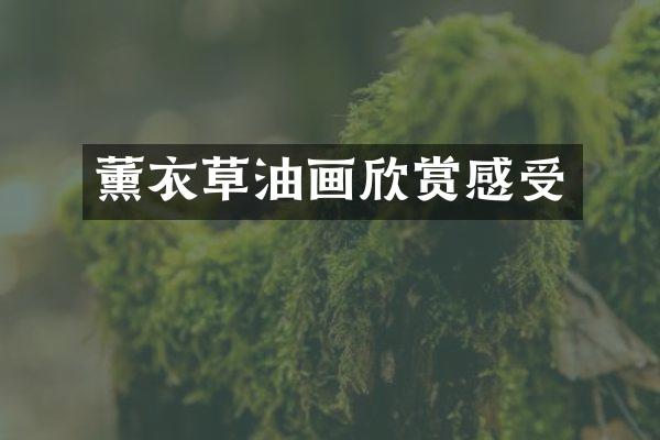 薰衣草油画欣赏感受