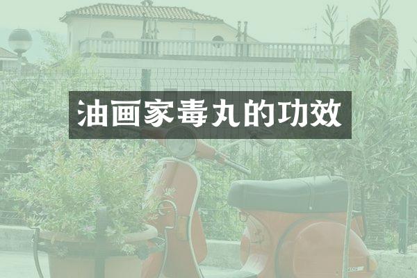 油画家毒丸的功效