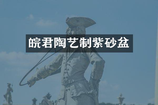 皖君陶艺制紫砂盆