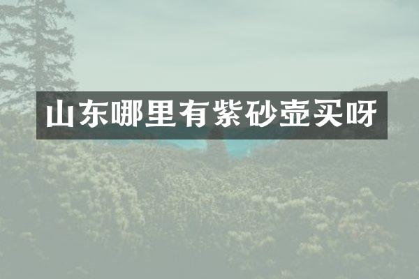 山东哪里有紫砂壶买呀