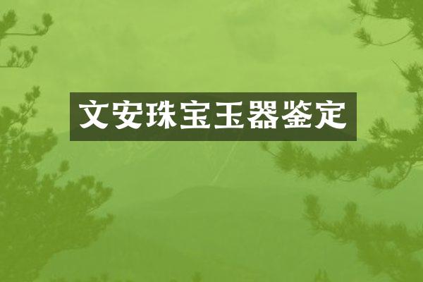 文安珠宝玉器鉴定