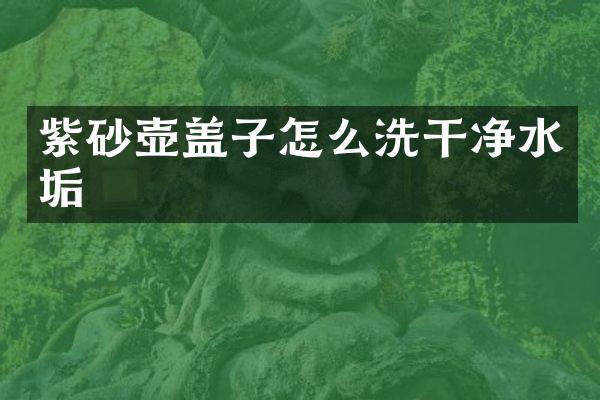 紫砂壶盖子怎么洗干净水垢