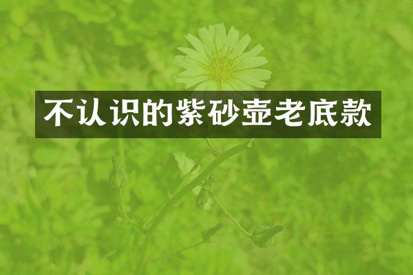 不认识的紫砂壶老底款