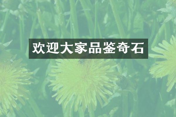 欢迎大家品鉴奇石
