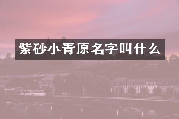 紫砂小青原名字叫什么