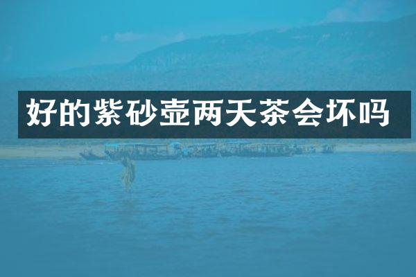 好的紫砂壶两天茶会坏吗