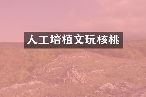 人工培植文玩核桃