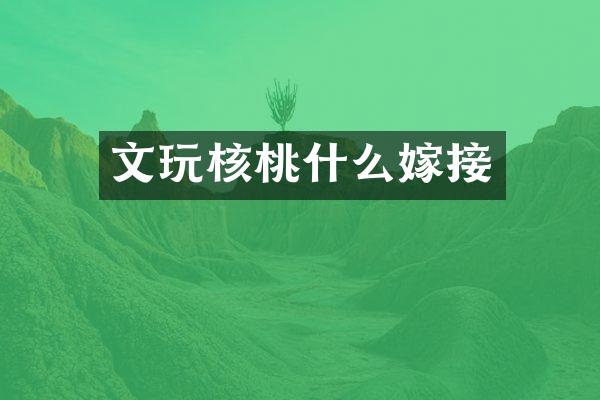 文玩核桃什么嫁接