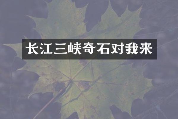长江三峡奇石对我来