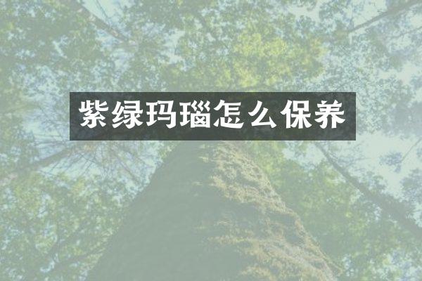 紫绿玛瑙怎么保养