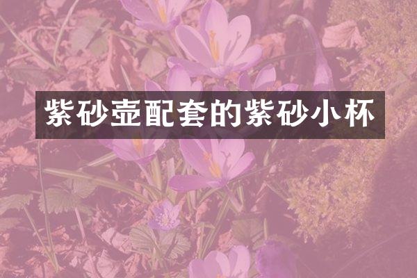 紫砂壶配套的紫砂小杯
