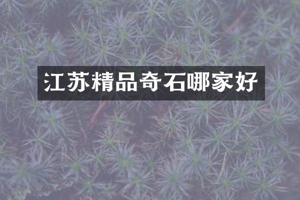 江苏精品奇石哪家好