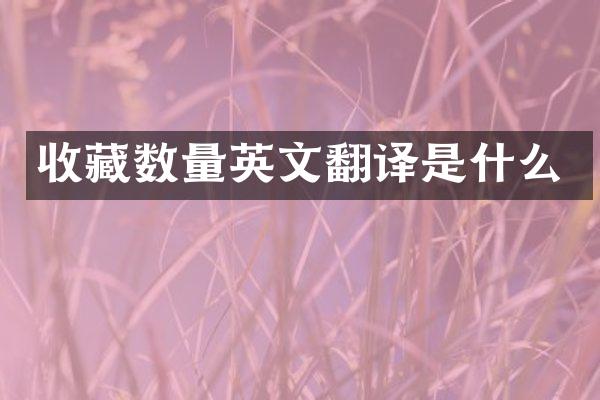 收藏数量英文翻译是什么